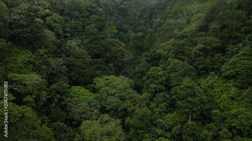4K aerial view of a deep valley filled with dense green tropical rainforest under misty skies.