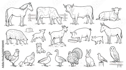 Hand drawn farm animals vector set, rustic livestock line art illustrations, black and white ranch animal sketches for coloring and design