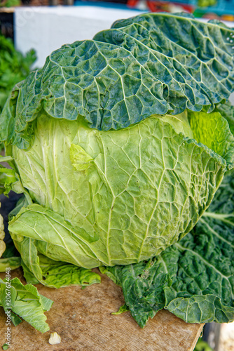 Whole Savoy cabbage featuring heavily crinkled