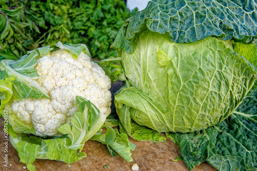 White cauliflower head and Savoy cabbage