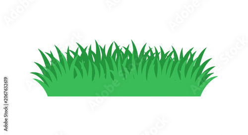 Green grass blades illustration.