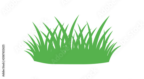 Green grass blades growing together.