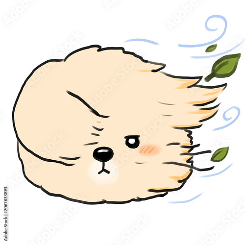 Cute Windy Puppy