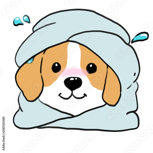 Cute Puppy After a Shower