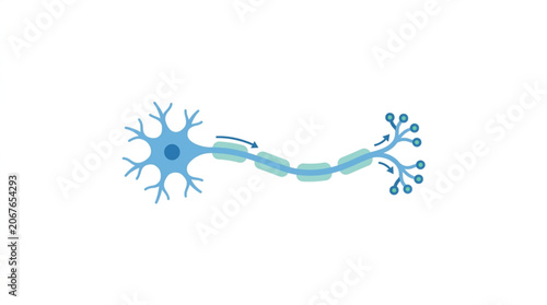 Tableau sur toile Illustration of a biological neuron cell transmitting signals.