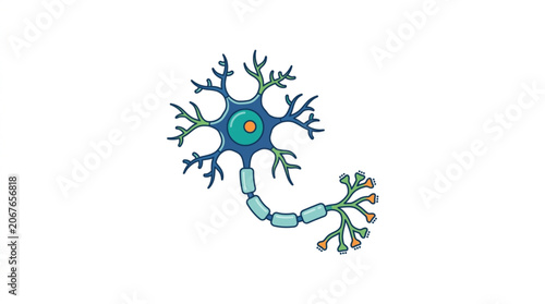 Illustration of a human neuron cell body with dendrites and axon.