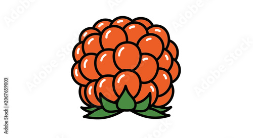 Raspberry fruit vector illustration with green leaves