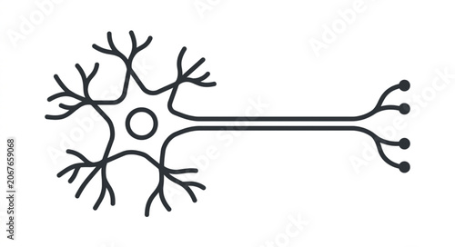 Obraz na płótnie Illustration of a single biological neuron cell body with dendrites and axon