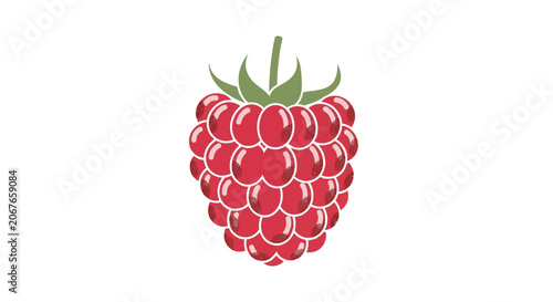 Raspberry fruit vector illustration