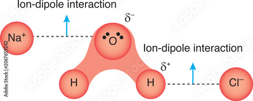 Schilderij op canvas lon-dipole interaction is the attractive force that occurs between an ion and a polar molecule