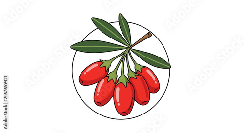 Red berries with green leaves vector illustration