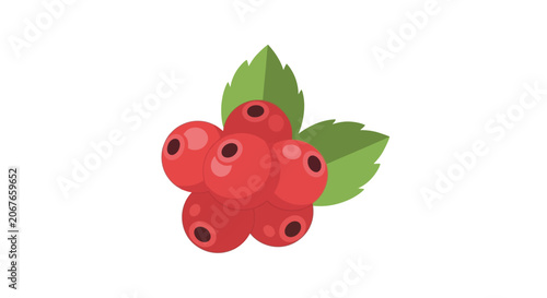 Red cranberries with green leaves vector illustration