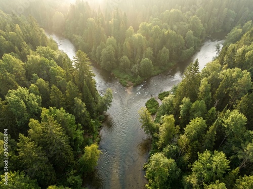 Принти на полотні Aerial view of a Y-shaped river fork merging through a dense green pine forest w