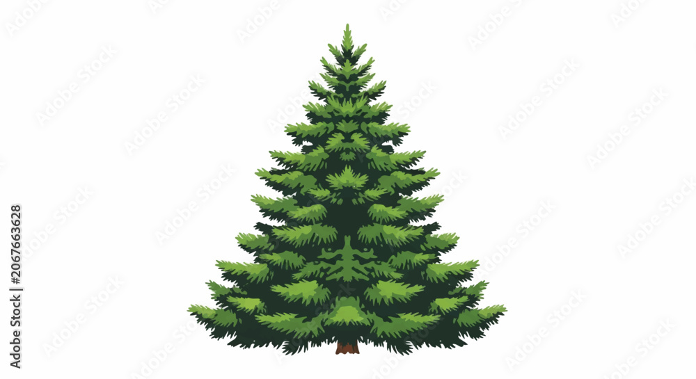 Fototapeta premium Evergreen fir tree standing tall with layered branches