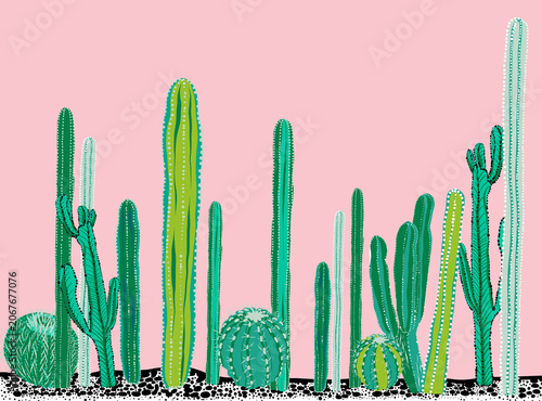Summer Cactus Wallpaper Background