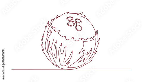 Coconut fruit icon