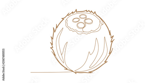Cartoon coconut vector icon in a simple coloring book style.