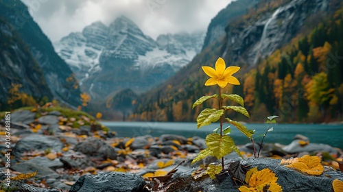   mountain, river, forest, rock, clouds, stone,
