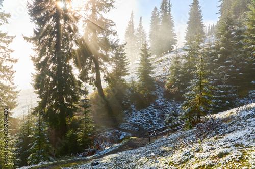 Colorful autumn morning in the Carpathian mountains. Ukraine.