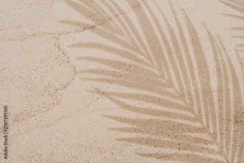 Sand texture surface with soft tropical palm leaf shadow,sunlight.Natural ripples of warm beach summer aesthetic,Top view tropical sea sand for summer vibes,travel branding, spa organic product mockup