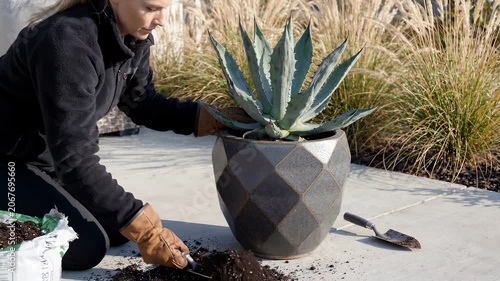 A woman lovingly tends to a striking agave plant in a modern patio setting, her hands carefully nesting it into a beautiful geometric pot. The sun casts gentle light, highlighting textures.