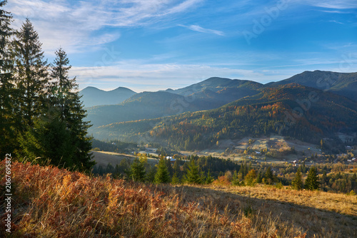 Colorful autumn morning in the Carpathian mountains. Ukraine.