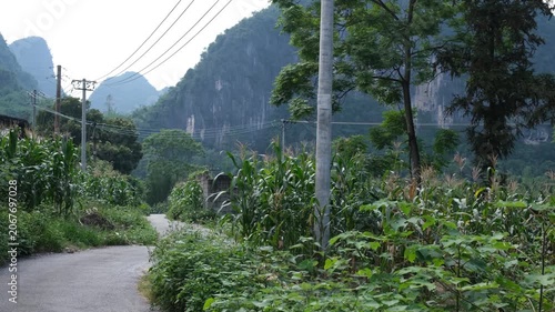 A rural village road cuts through lush subtropical vegetation in Guangxi, southern China, flanked by corn fields, utility pole carries overhead power lines, karst limestone peaks in the background.