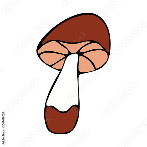 Vector illustration of a mushroom with brown cap and white stem. Stylized mushroom with wide cap, visible gills and bicolor stem. Autumn clipart on white background.