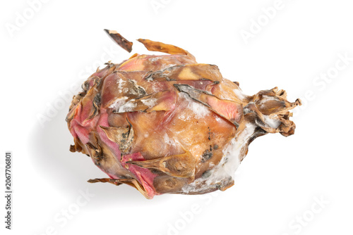 top view badly moldy dragon fruit on white
