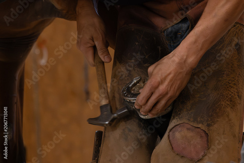 Farrier Fitting Horseshoe on Horse Hoof Close Up