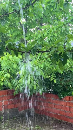 Heavy rainfall pouring from the roof during a summer storm. Water cascades through lush green tree leaves onto the ground in a garden corner
