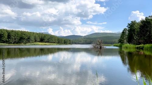 Stunning natural landscape with a calm lake perfectly mirroring the blue sky, clouds, and surrounding lush green pine forest on a summer day