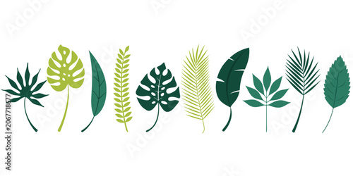 Obraz na płótnie A flat-design vector illustration featuring 10 stylized tropical and botanical leaves arranged in a horizontal row on a white background