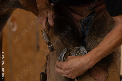 Close Up of Horse Hoof Care and Horseshoe Fitting