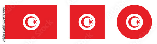 Tunisia flag icon with rectangle square and circle vector illustration