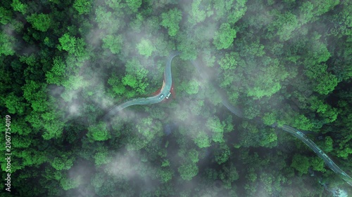 Green tree nature background for carbon neutrality and net zero emissions concept. Drone view of green tree captures CO2 to Sustainable green environment.	
