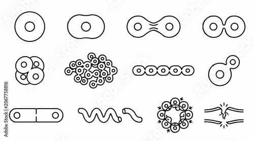 Biological cell division and microbiology process icons set in thin line style.