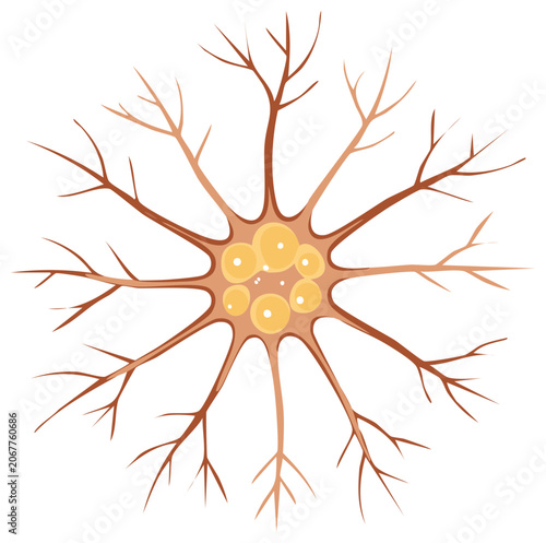 Illustration of a stylized neuron or similar biological cell showing branching dendrites and a central nucleus