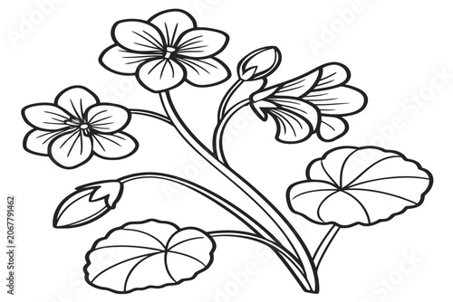 coloring page line art the moon daisy flower black vector