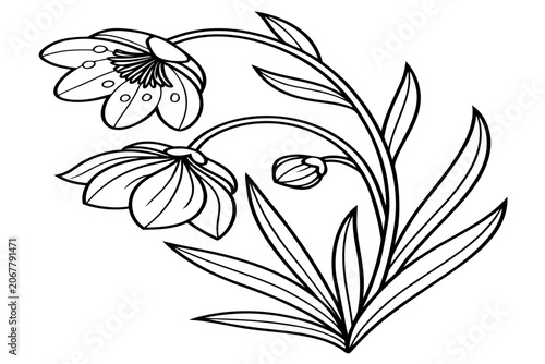 coloring page line art the moon daisy flower black vector