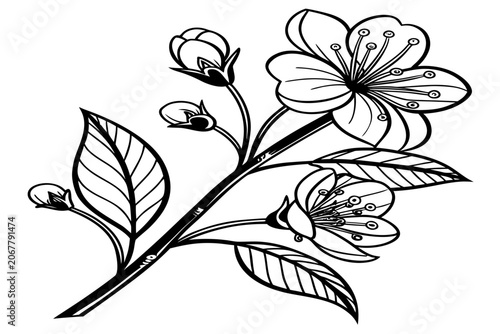 coloring page line art the moon daisy flower black vector
