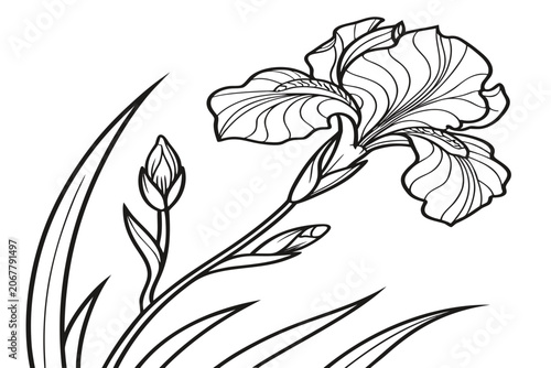 coloring page line art the moon daisy flower black vector