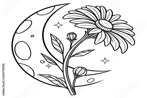coloring page line art the moon daisy flower black vector