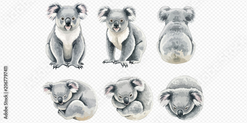 Photography Cute watercolor koala illustrations set, featuring various poses and angles of the adorable Australian marsupial, isolated on a white background