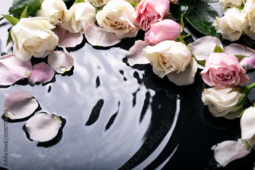 Roses flowers in wet dark surface with water circles