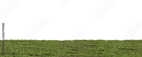 Grass grows abundantly in a flat area under clear skies. Sunlight shines down on the ground, creating a bright scene in a natural setting. 3d render