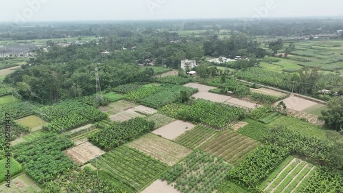 Rural asian banana plantation aerial view