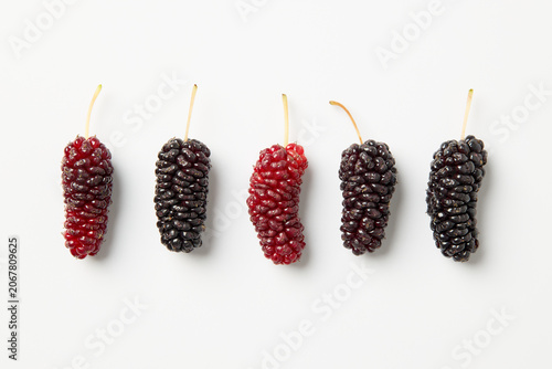 Freshly harvested mulberries on a white background. Mulberries are sweet, elongated berries rich in vitamin C, iron, and dietary fiber.