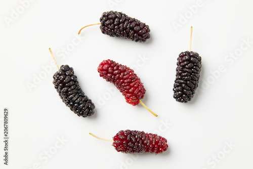 Freshly harvested mulberries on a white background. Mulberries are sweet, elongated berries rich in vitamin C, iron, and dietary fiber.