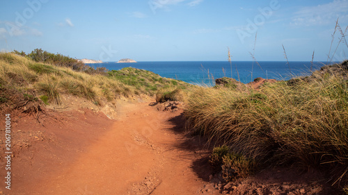 Dirt path leading to a scenic ocean view with green foliage